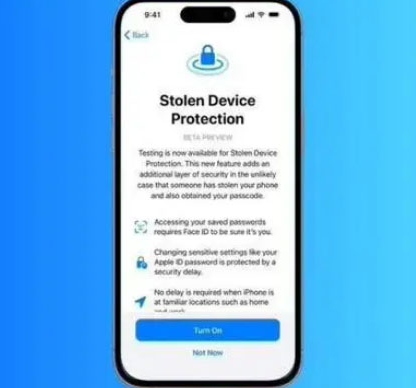 雷山苹果授权维修店分享被盗设备保护功能开启方法