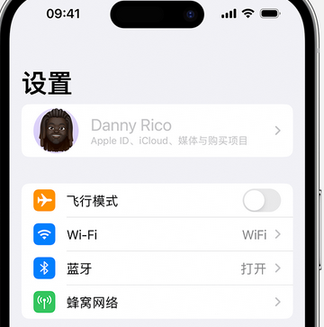 雷山appleID维修服务iPhone设置中Apple ID显示为灰色无法使用 