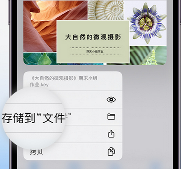 雷山apple维修中心分享iPhone文件应用中存储和找到下载文件