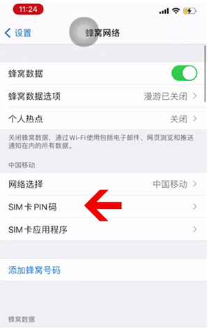 雷山苹果14维修网分享如何给iPhone14的SIM卡设置密码 