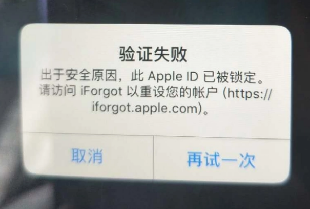 雷山iPhone维修分享iPhone上正常登录或使用AppleID怎么办 