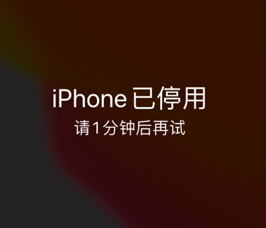 雷山苹果手机维修分享:iPhone 显示“不可用”或“已停用”怎么办？还能保留数据吗？ 