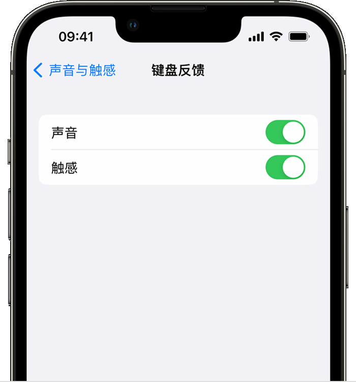 雷山苹果14维修店分享如何在 iPhone 14 机型中使用触感键盘 