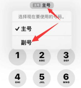 雷山苹果14维修店分享iPhone 14 Pro Max使用副卡打电话的方法 