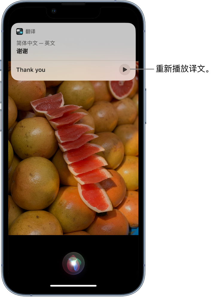 雷山苹果14维修分享 iPhone 14 机型中使用 Siri：了解 Siri 能帮你做什么 