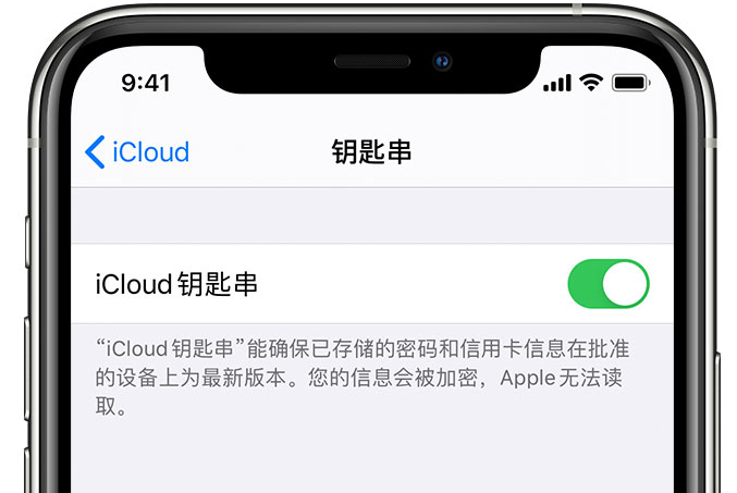 雷山苹果手机维修分享在 iPhone 上开启 iCloud 钥匙串之后会储存哪些信息 