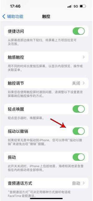 雷山苹果手机维修分享iPhone手机如何设置摇一摇删除文字 