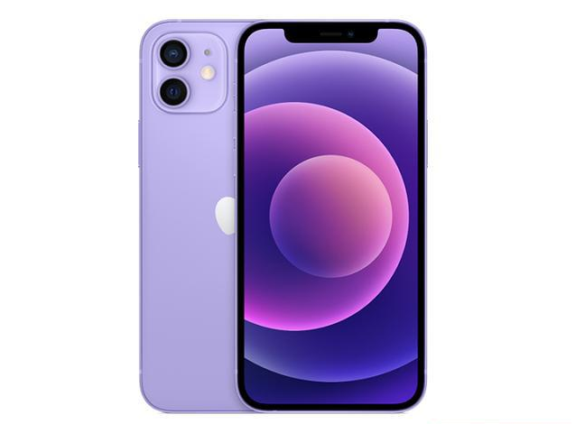 雷山苹果手机维修分享现阶段要不要入手紫色版iPhone12 